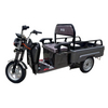 Cargo Transport Tricycle with 60V Power, Model No.: Sg150