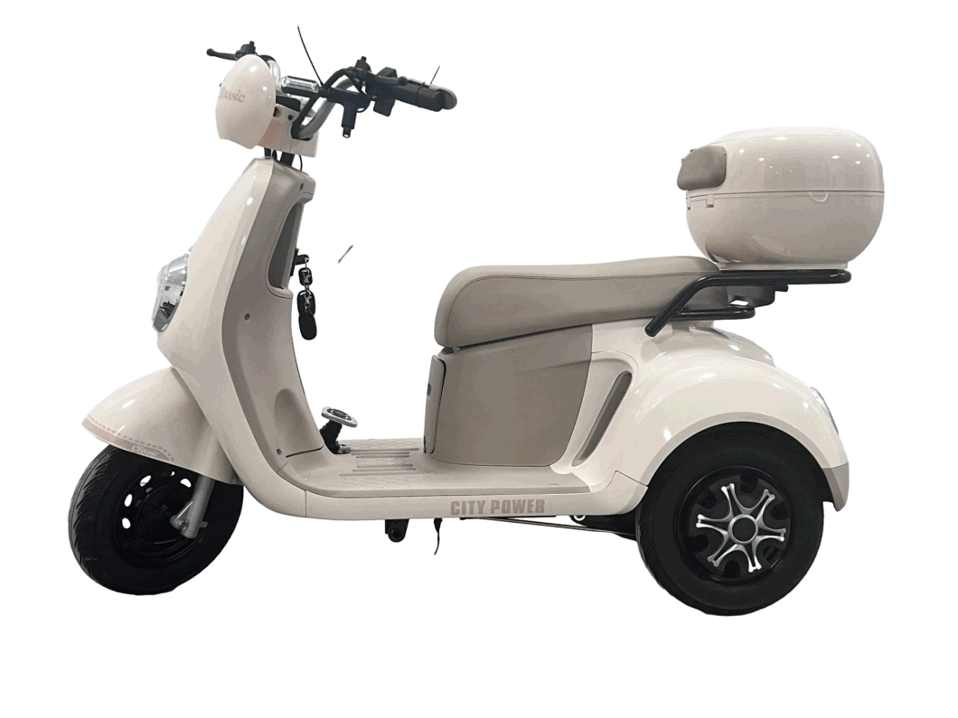 Durable Leisure Tricycle for Stylish Urban Commuting and Fun