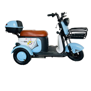 Durable Leisure Tricycle for Stylish Urban Commuting and Fun