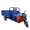 Solar Electric Tricycle for Sustainable Cargo Transport and Delivery