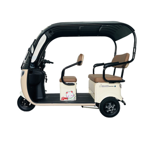 OEM Electric Leisure Tricycle for Stylish City Exploration and Travel