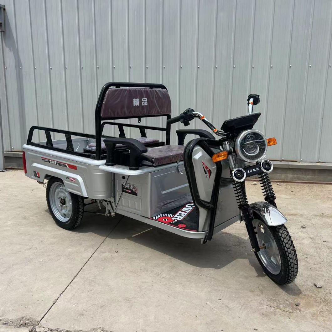 60V Electric Tricycle with CE Certification and Tongsheng Trademark for Sale