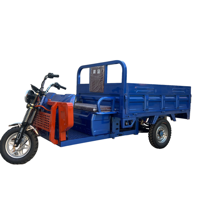 Electric Power Freight Tricycle with Adjustable Seating for Comfort