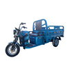 Electric Cargo Trike with Steering Handle for Heavy Duty Delivery