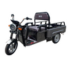 Cargo Transport Tricycle with 60V Power, Model No.: Sg150