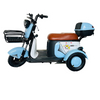 Ergonomic Passenger Tricycle with Storage for Urban Shopping Trips