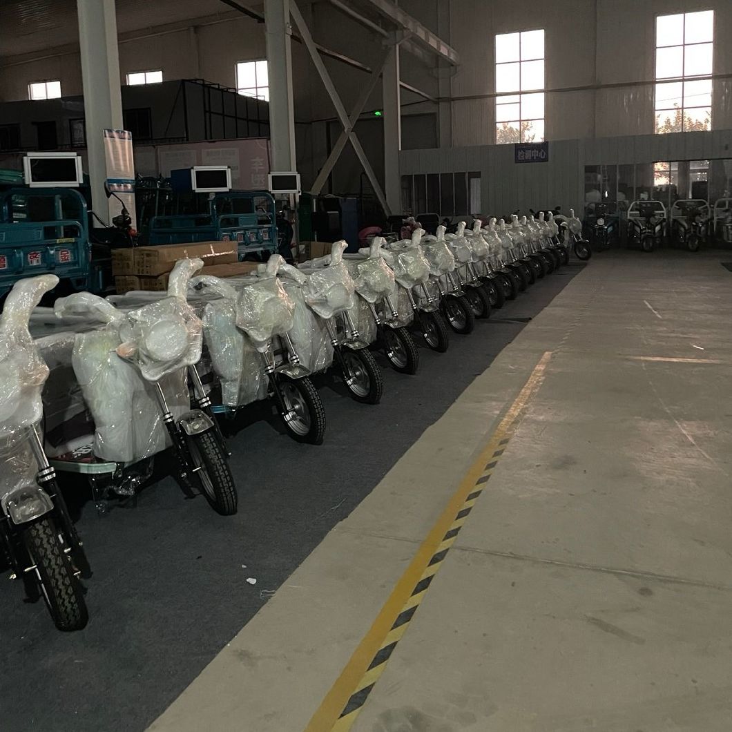 Convenient Commuting Electric Tricycle with Pedal Assist and Shandong Origin