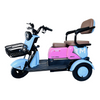 Convenient City Mobility Tricycle for Family Adventures and Activities