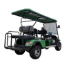 Premium Electric Golf Cart with Spacious Seating and Smooth Ride