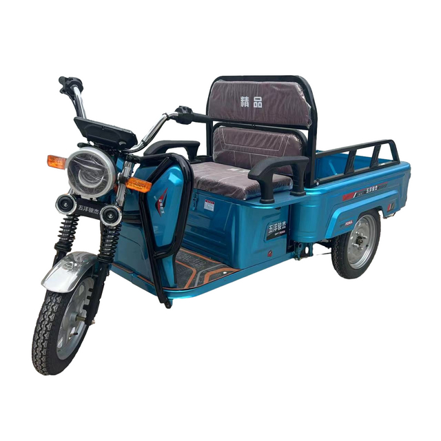 Cargo Transport Tricycle with 60V Power, Model No.: Sg150