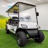 Premium Golf Cart with Classic Style and Comfortable Seating