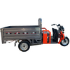 Enclosed Freight Transport Tricycle with Adjustable Seat and Alloy Power