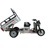 60V Electric Tricycle with CE Certification and Tongsheng Trademark for Sale