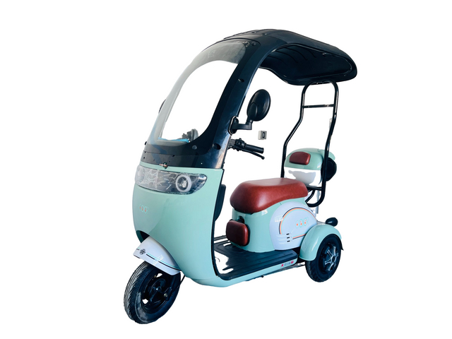 Innovative Electric Leisure Tricycle for Fitness, Fun, and Leisure