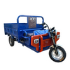 Smart Controller Tricycle for Enhanced Cargo Transport Efficiency