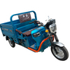 Electric Cargo Trike with Steering Handle for Heavy Duty Delivery