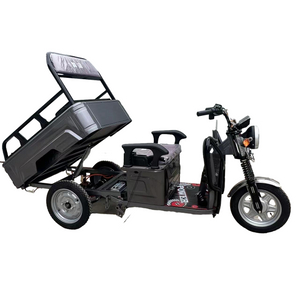 Apasonic Tricycle in China with 60V Power and High Low Gearbox