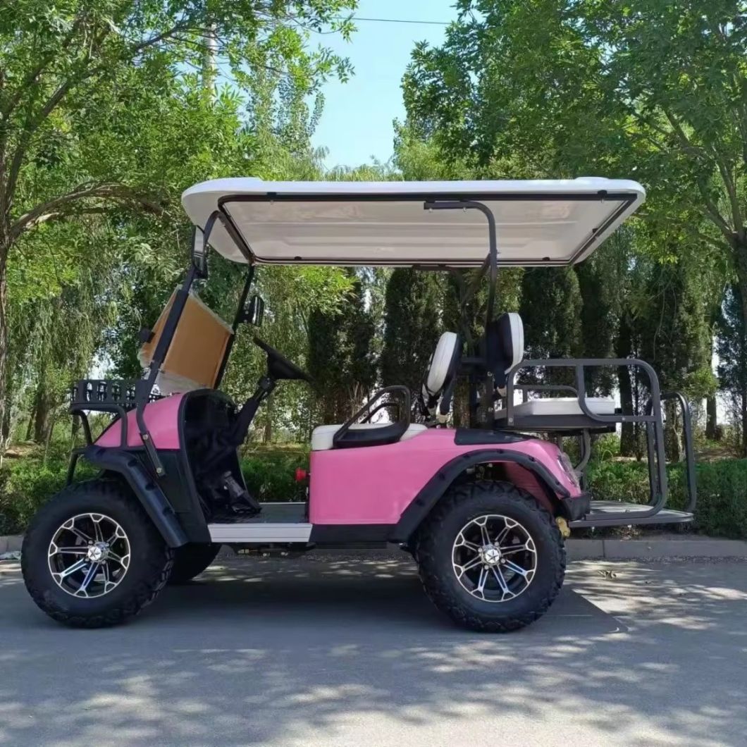 Fancy Golf Cart Offering Premium Features and Luxurious Experience