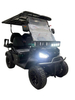 Chic Executive Golf Cart for High-End Leisure Activities