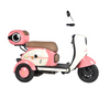 Ergonomic Passenger Tricycle with Storage for Urban Shopping Trips