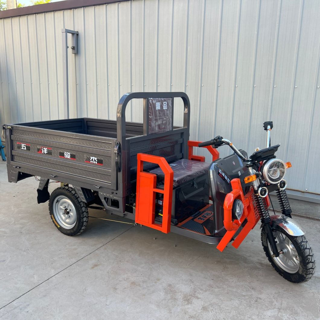 Enclosed Freight Transport Tricycle with Adjustable Seat and Alloy Power