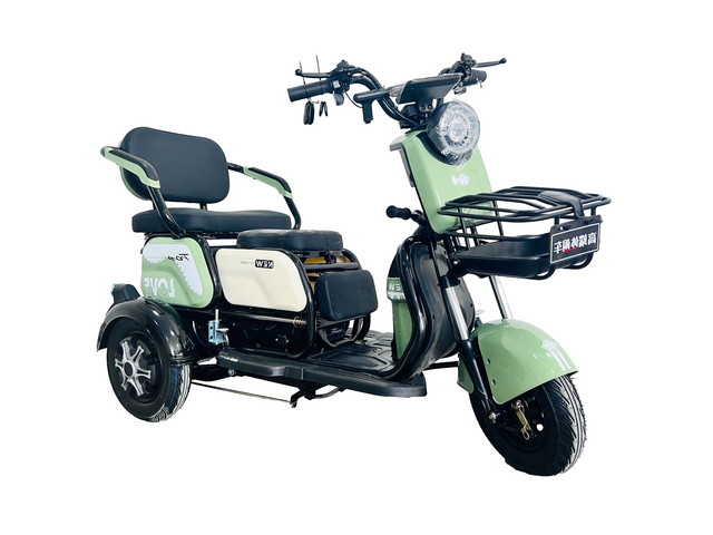 Convenient City Mobility Tricycle for Family Adventures and Activities