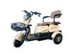 Versatile Family Tricycle for All Ages and Activities