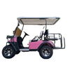 Fancy Golf Cart Offering Premium Features and Luxurious Experience