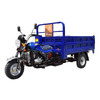 Strong Performance Gasoline Tricycle for Heavy Load Capabilities