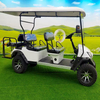 Premium Golf Cart with Classic Style and Comfortable Seating