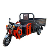 Enclosed Freight Transport Tricycle with Adjustable Seat and Alloy Power