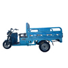 Electric Freight Cargo Tricycle for Heavy Duty Transport and Delivery