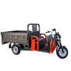 Smart Controller Tricycle for High Performance Freight and Cargo Transport