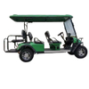 Premium Electric Golf Cart with Spacious Seating and Smooth Ride