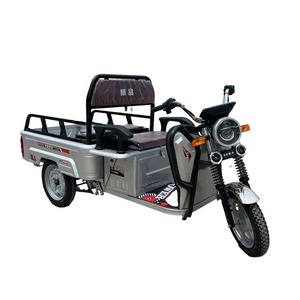 60V Electric Tricycle with CE Certification and Tongsheng Trademark for Sale