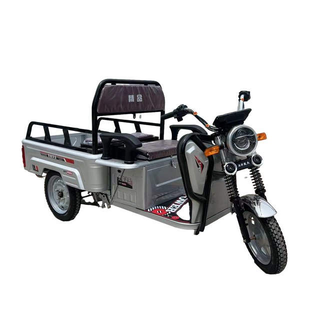 60V Electric Tricycle with CE Certification and Tongsheng Trademark for Sale