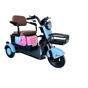 Ergonomic Compact Tricycle for Convenient Urban Mobility and Leisure