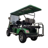 Premium Electric Golf Cart with Spacious Seating and Smooth Ride