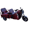 Affordable Folding Tricycle Designed for Fun and Easy Transport