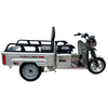 Cargo Transport Tricycle with 60V Power, Model No.: Sg150