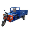 High-Performance Tricycle for Electric Power Freight and Transport