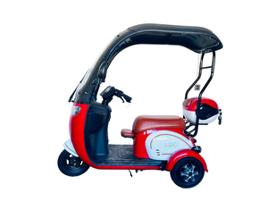 Versatile Adult Tricycle for Leisure, Fitness, and Fun