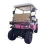 Fancy Golf Cart Offering Premium Features and Luxurious Experience