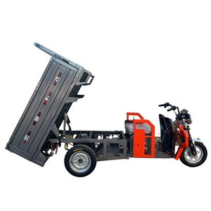 Enclosed Freight Transport Tricycle with Adjustable Seat and Alloy Power