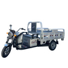 Convenient Commuting Electric Tricycle with Pedal Assist and Shandong Origin