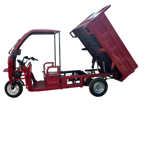 Shandong E Tricycle with Robust Build for Long Lasting Use