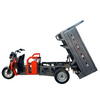 Smart Controller Tricycle for High Performance Freight and Cargo Transport