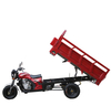 Stylish Fuel Tricycle Motorcycle with Enhanced Safety Features