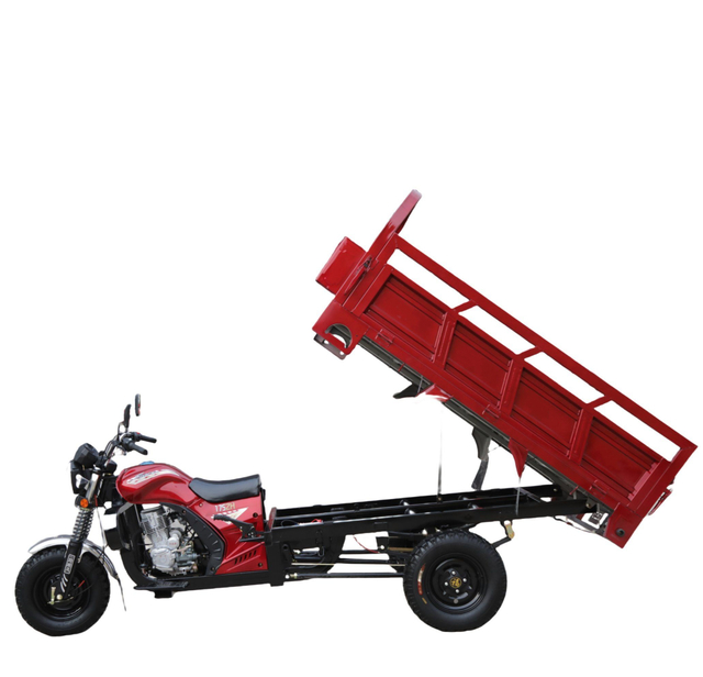 Stylish Fuel Tricycle Motorcycle with Enhanced Safety Features