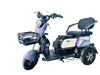 Convenient City Mobility Tricycle for Family Adventures and Exploration